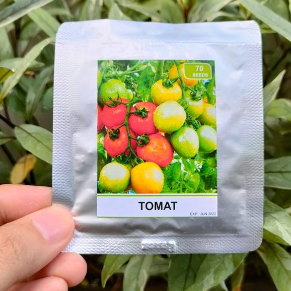 benih sayur - benih buah - benih sayuran - benih tomat - benih cabe - benih selada - benih bayam - benih terong - benih pakchoy -RS-tomat sayur