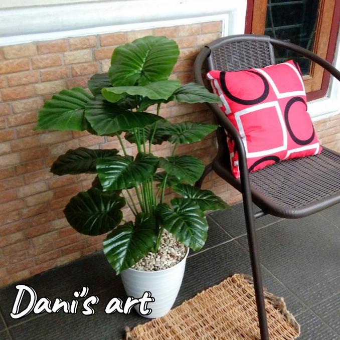 keladi jumbo palsu/ tanaman plastik/ keladi hias/ Tanaman artificial