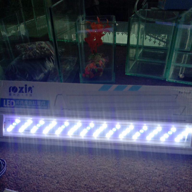 Lampu Aquarium Roxin LED 50-60cm