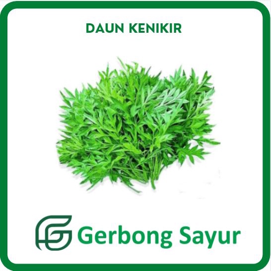 

Daun Kenikir 1 Ikat - 250g