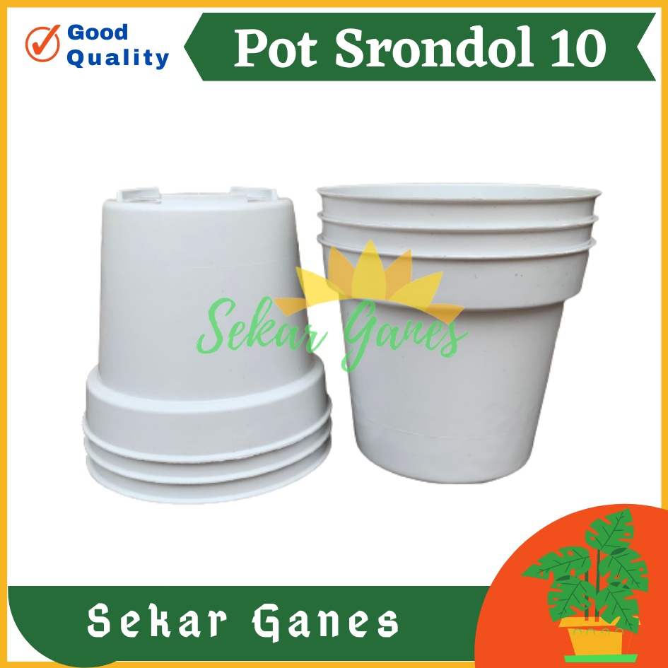 POT BUNGA 10cm PUTIH Pot Tanaman Hias Grosir Murah Plastik Pot 10 cm MURAH