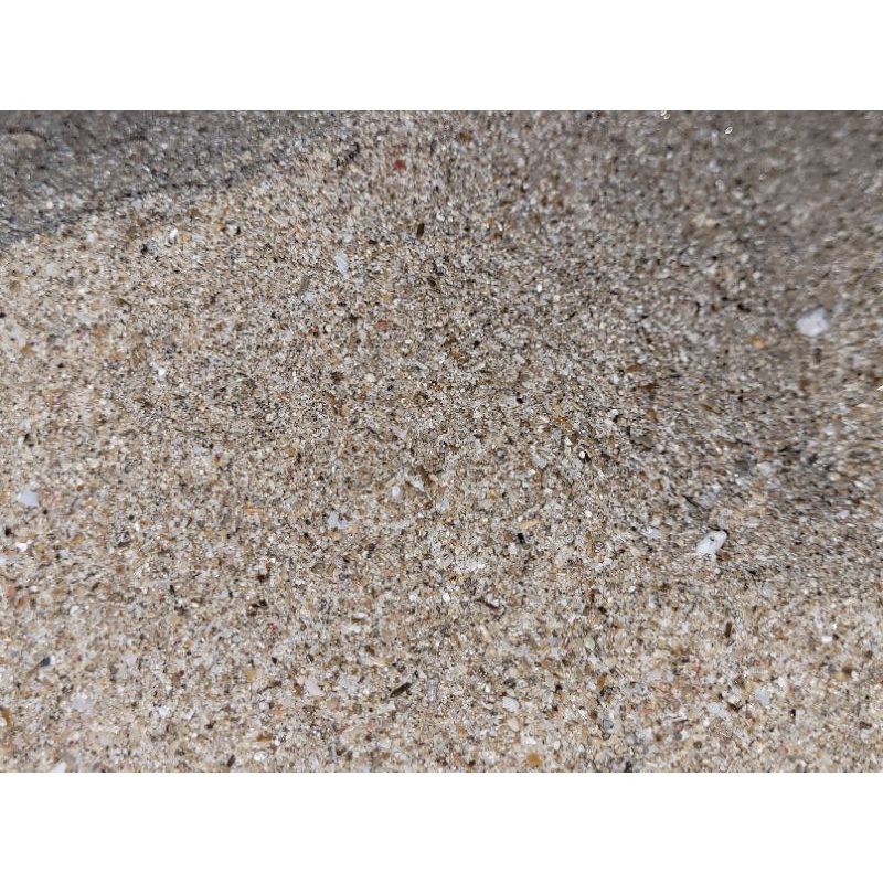 pasir laut murni murah 1kg