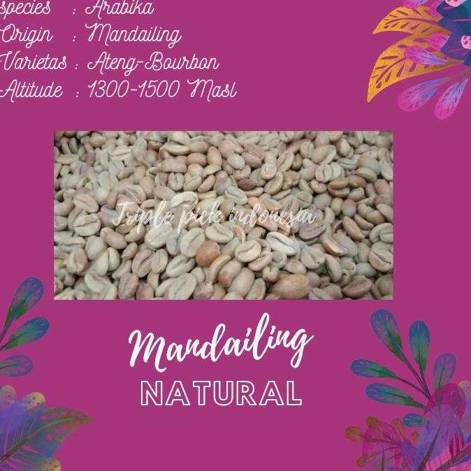 

green bean /Biji Kopi arabika mandailing - natural