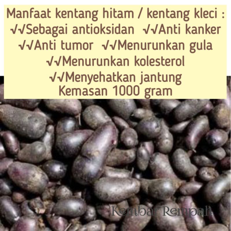 

Kentang hitam kentang kleci kentang kembili 1kilogram