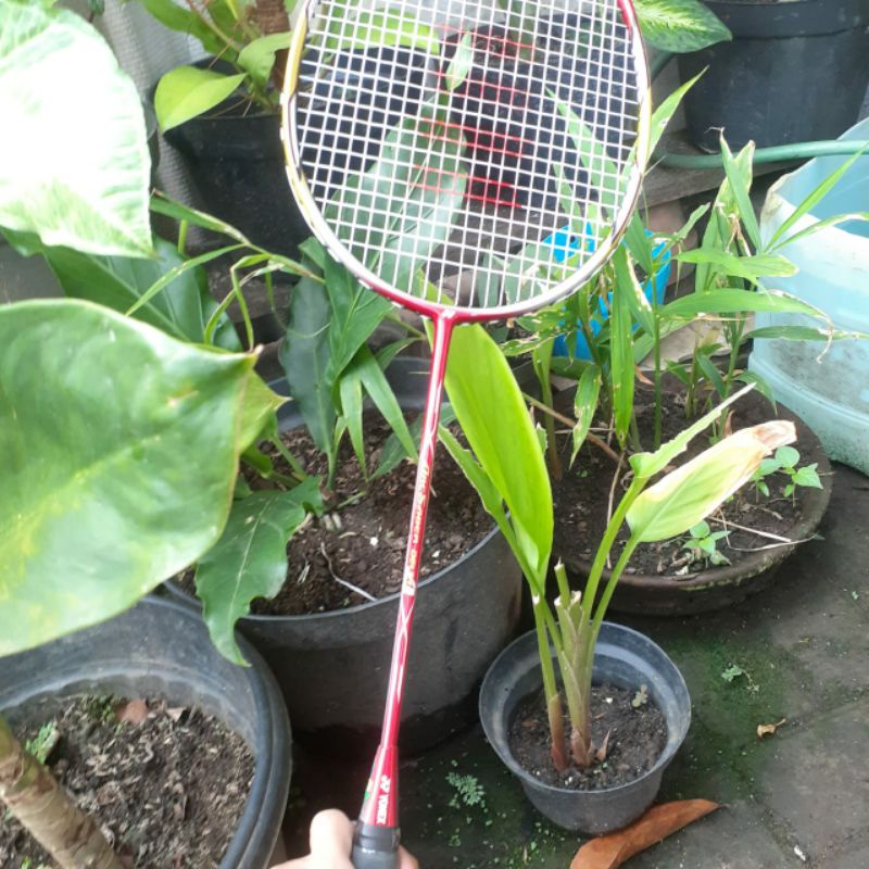 Raket Yonex Arcsaber Delta