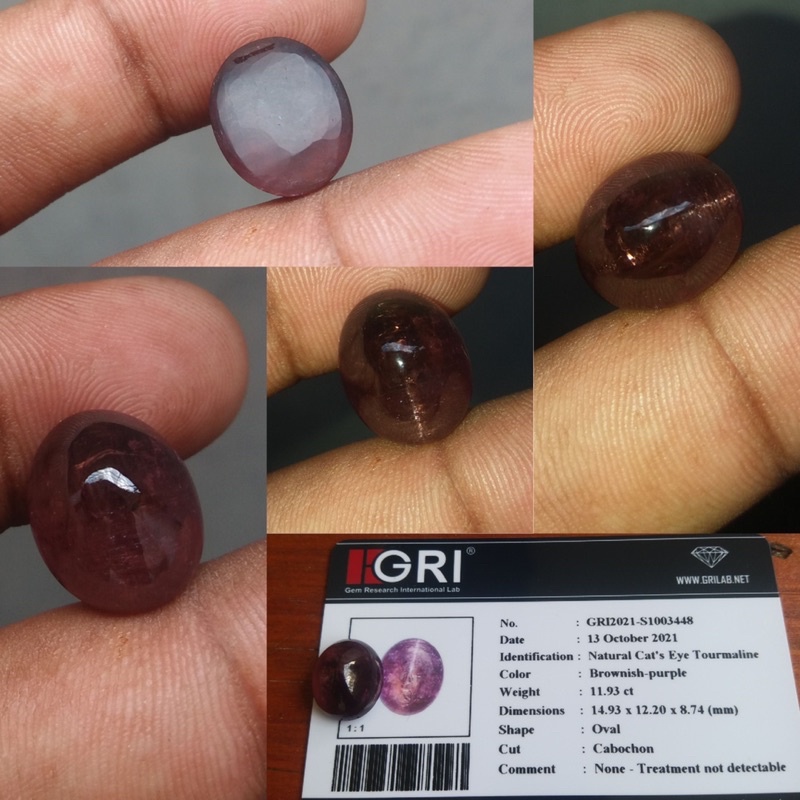 Natural Cats Eye Tourmaline Batu Cat Eye Tourmaline Memo GRI CT 11.93 Dim 15x12x9