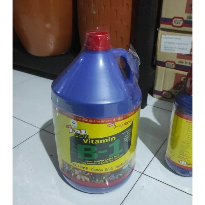 Vitamin tanaman B1 Thailand vitamin tanaman