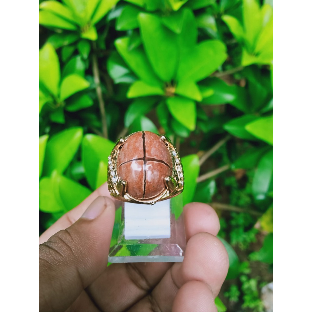 Cincin Batu Akik Tapak Jalak Coklat (S)