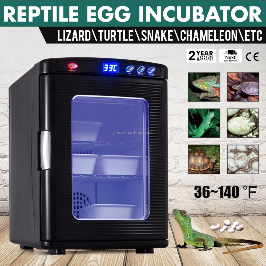 Inkubator reptil untuk Kura kura sulcata ular kadal reptile incubator