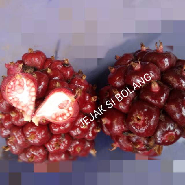 

BUAH HONJE MERAH LAKA/1KG