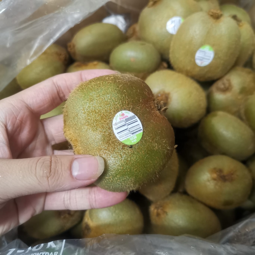 Jual Buah Kiwi Hijau Chile Impor Fresh 500 Gram | Fruit Import Segar