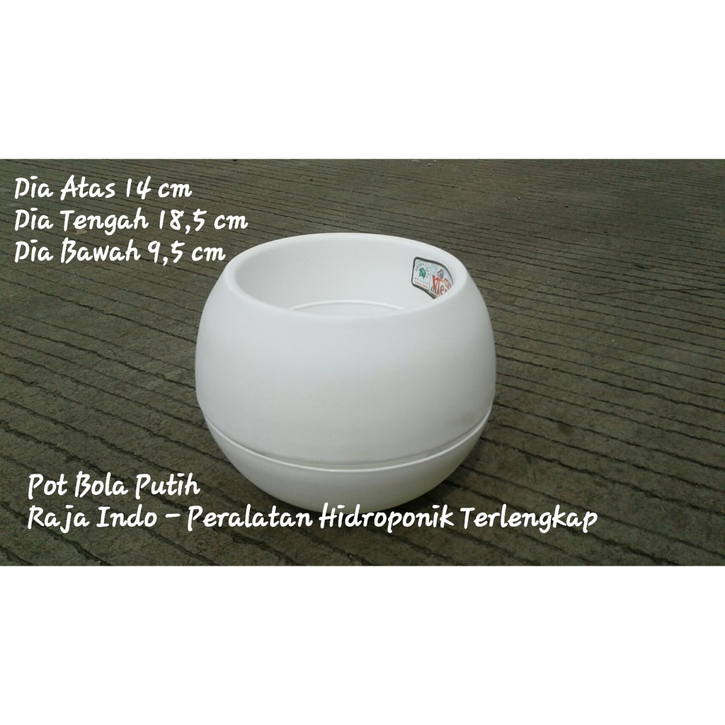 Pot Bola Vienna Putih 14 Cm Pot Bunga Pot Bola Vienna Plastik Jumbo Putih Mini Moci Busa Kaktus