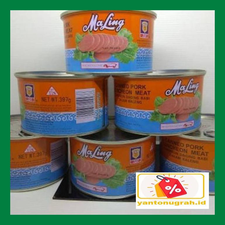 

Ytnksot Daging Maling Kaleng Tts 397 Gr Sotyt07