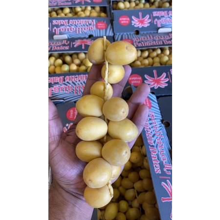 

kurmaMudaBarhee