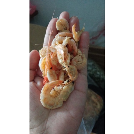 

Udang Manis