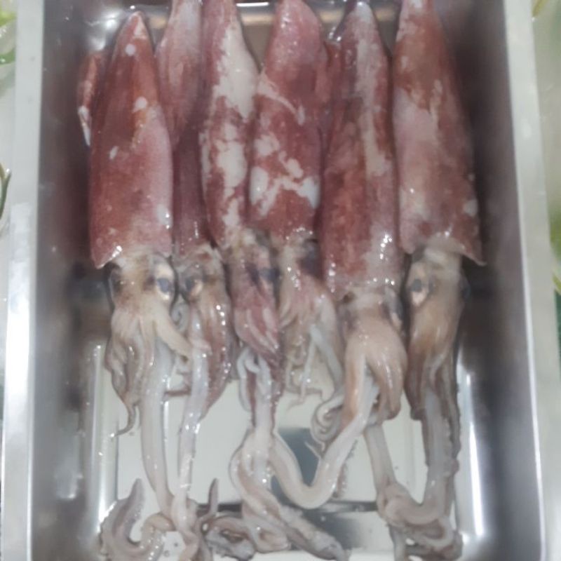 

cumi sero