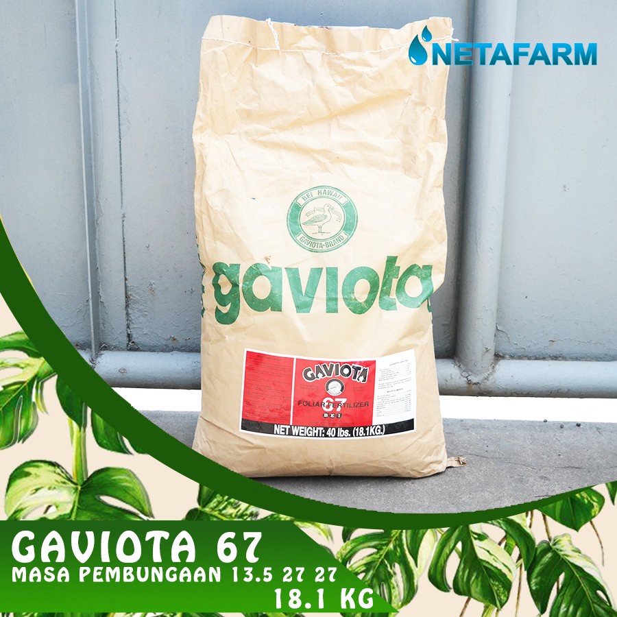 PUPUK GENERATIF GAVIOTA 67 PEMBUNGAAN 13.5 27 27 18kg - 1 Sak