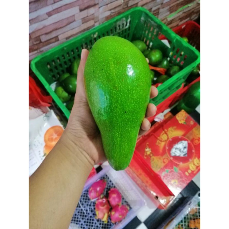 

Alpukat mentega