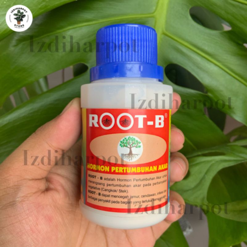 ROOT - B 100 GR pupuk pertumbuhan akar dan mencegah jamur pada tanaman