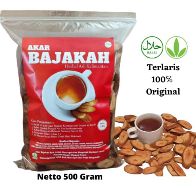 Akar Bajakah Kayu Bajakah Bajakah Asli Kalimantan Kayu Bajakah Asli Kalimantan Bajakah