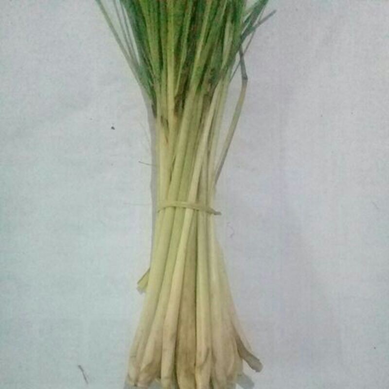 

daun sereh