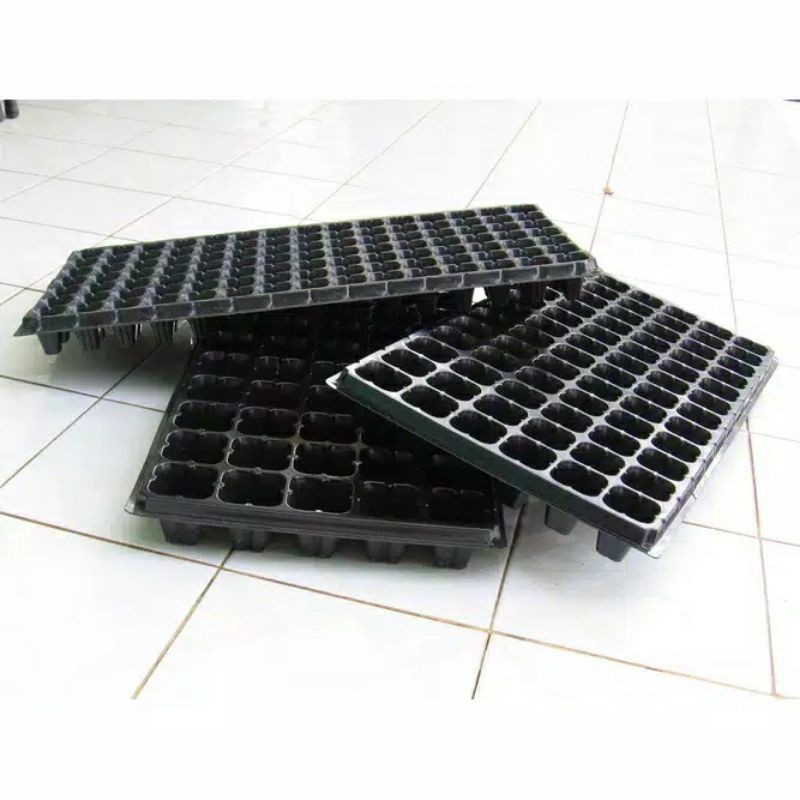 Tray semai 50lubang
