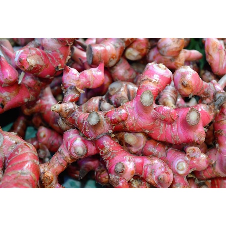 Jahe Merah | Kering | 500gr