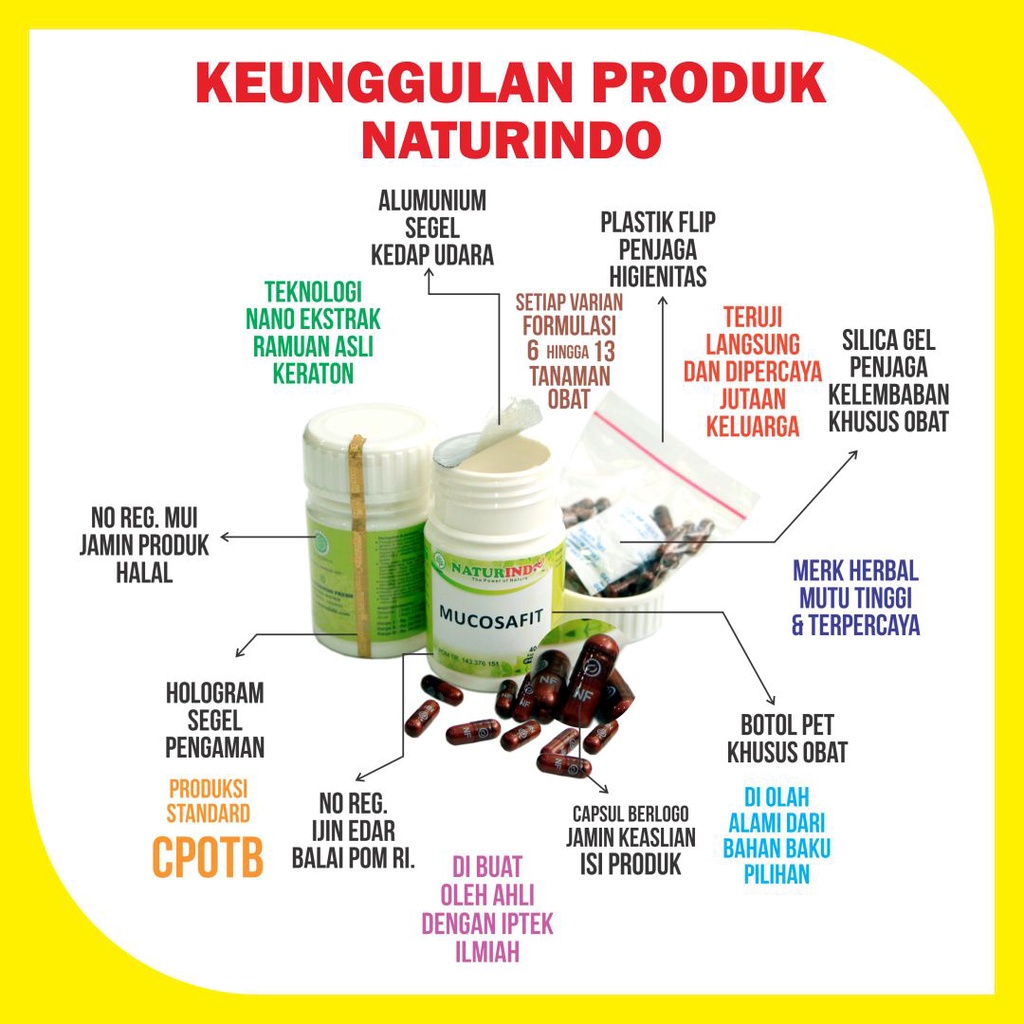 Biolipid Obat Herbal Kolesterol Menghancurkan lemak jahat melancarkan aliran darah Naturindo-7