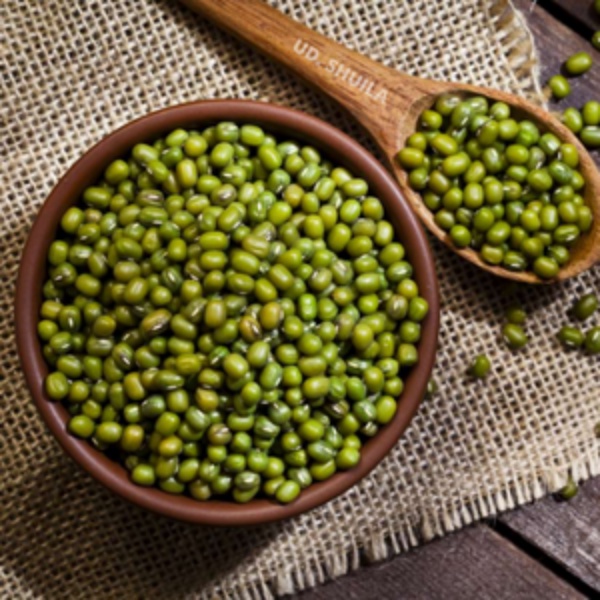 

Kacang Hijau Segar Organik 1 Kg Masakan Food