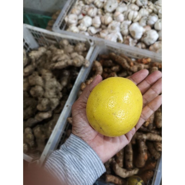 

Jeruk lemon import
