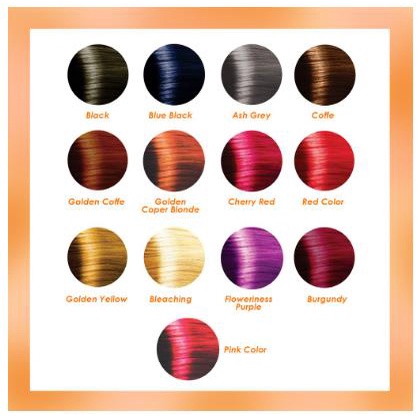 * NCC * SALSA Hair Color Semir Pewarna Rambut Bleaching Black Purple Cherry Coffee Burgundy  - Varian B