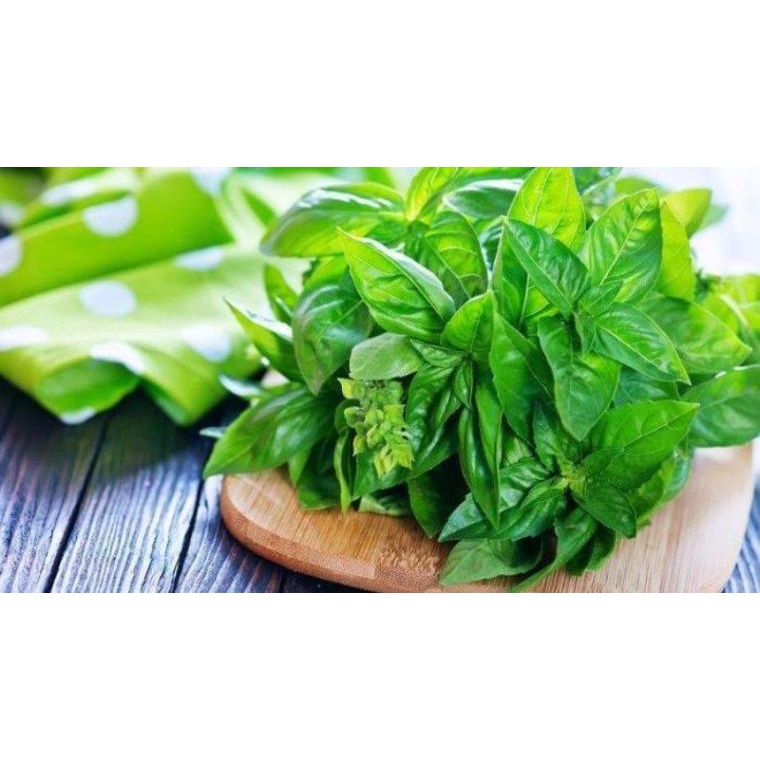 

Daun Kemangi per ikat Segar SAYUR ONLINE MONA SAYUR BANDUNG | FRESH DARI PASAR