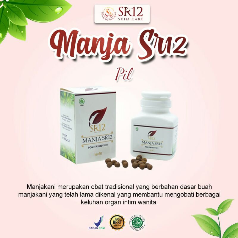 Jual Manja Sr Manjakani Shopee Indonesia