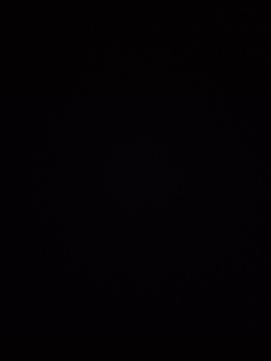 Piring Makan Omega Two Tone / 2 Warna Ukuran 9inch