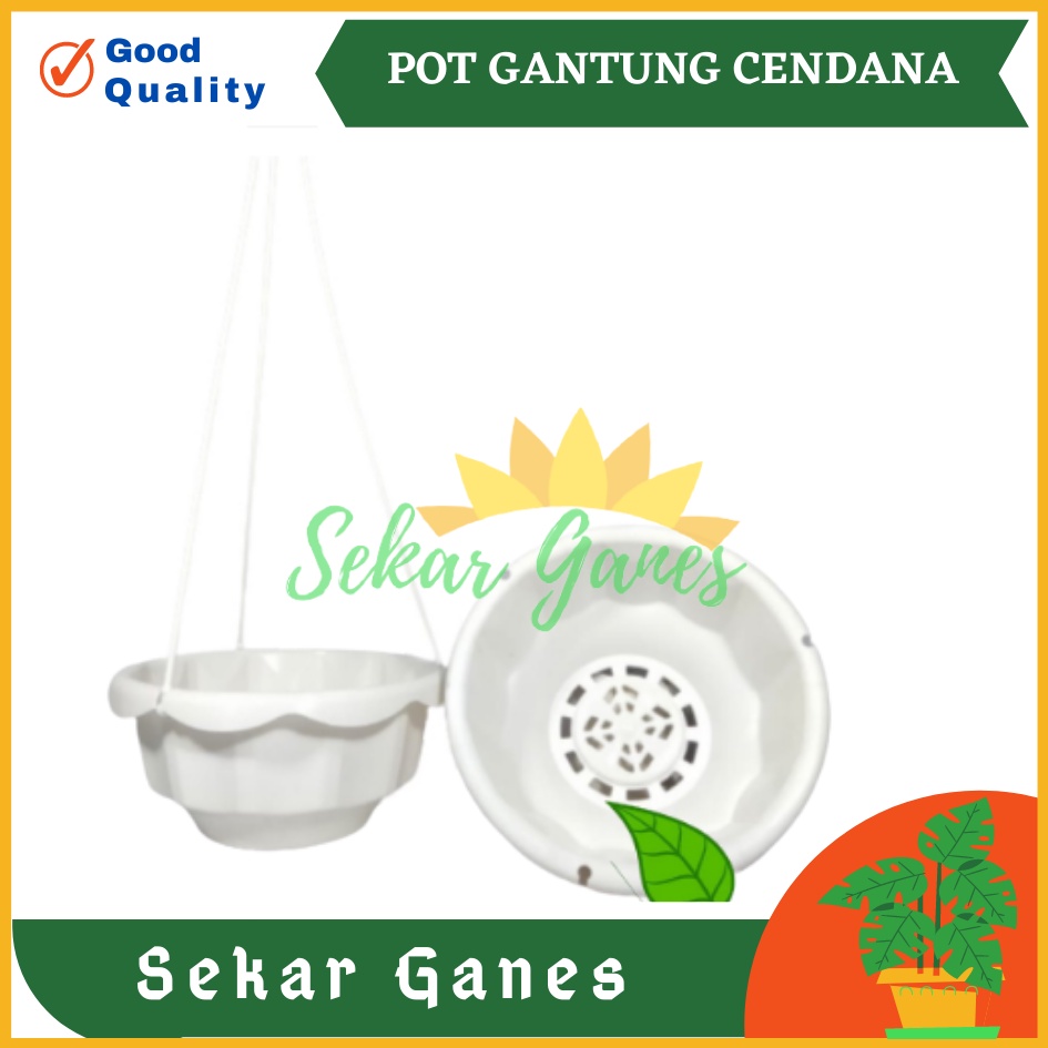 POT BUNGA GANTUNG CENDANA 16 CM - POT BUNGA LILI PARIS PEPEROMIA BEGONIA - BUKAN POT TAWON MURAH