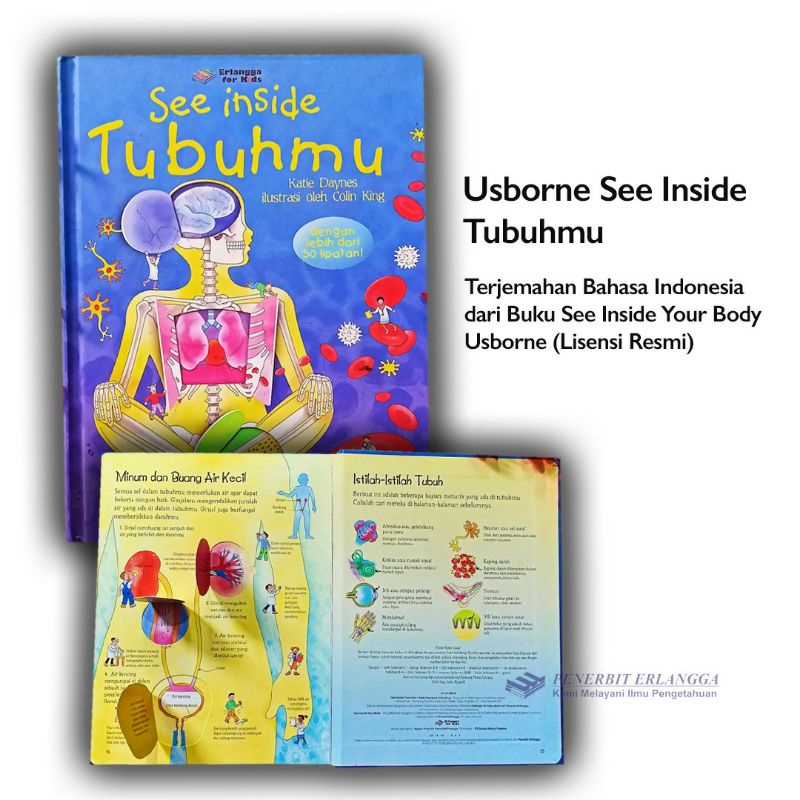 see inside tubuhmu by erlangga for kids