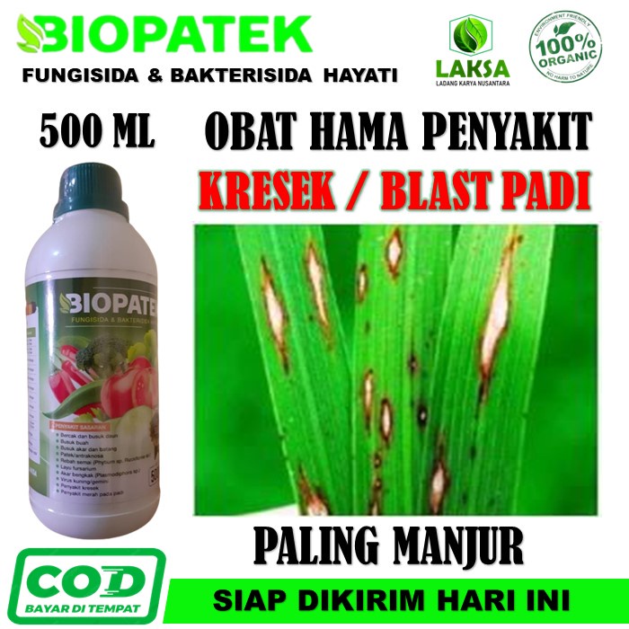 [MURAH NAMPOL] Bakterisida BIOPATEK 500 ML Obat Kresek Padi - Obat Semprot Atasi Kresek / Blas Padi 