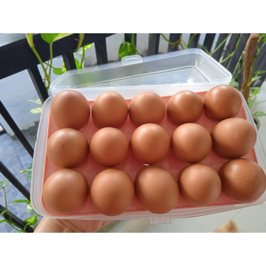 

RB FRESH TELUR AYAM NEGRI 1 KG / TELOR AYAM NEGRI / EGG 1 KG
