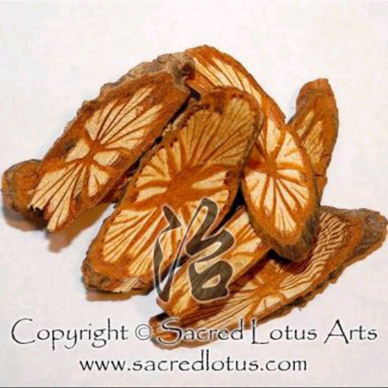 

300 G GR GRAM 红藤 HONG TENG CAULIS SARGENTODOXAE SARGENTODOXA RED VINE SARGENT GLORYVINE
