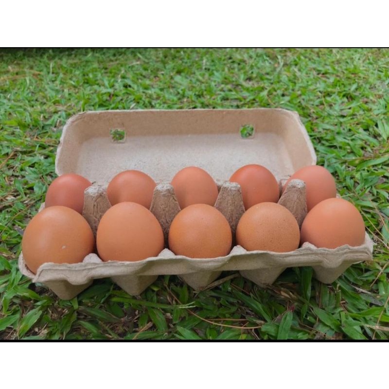 

EggHouse Telur Omega Fresh Isi 10