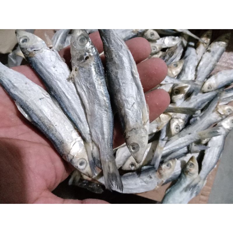 

IKAN ASIN JAPUH KETAN 1 KG