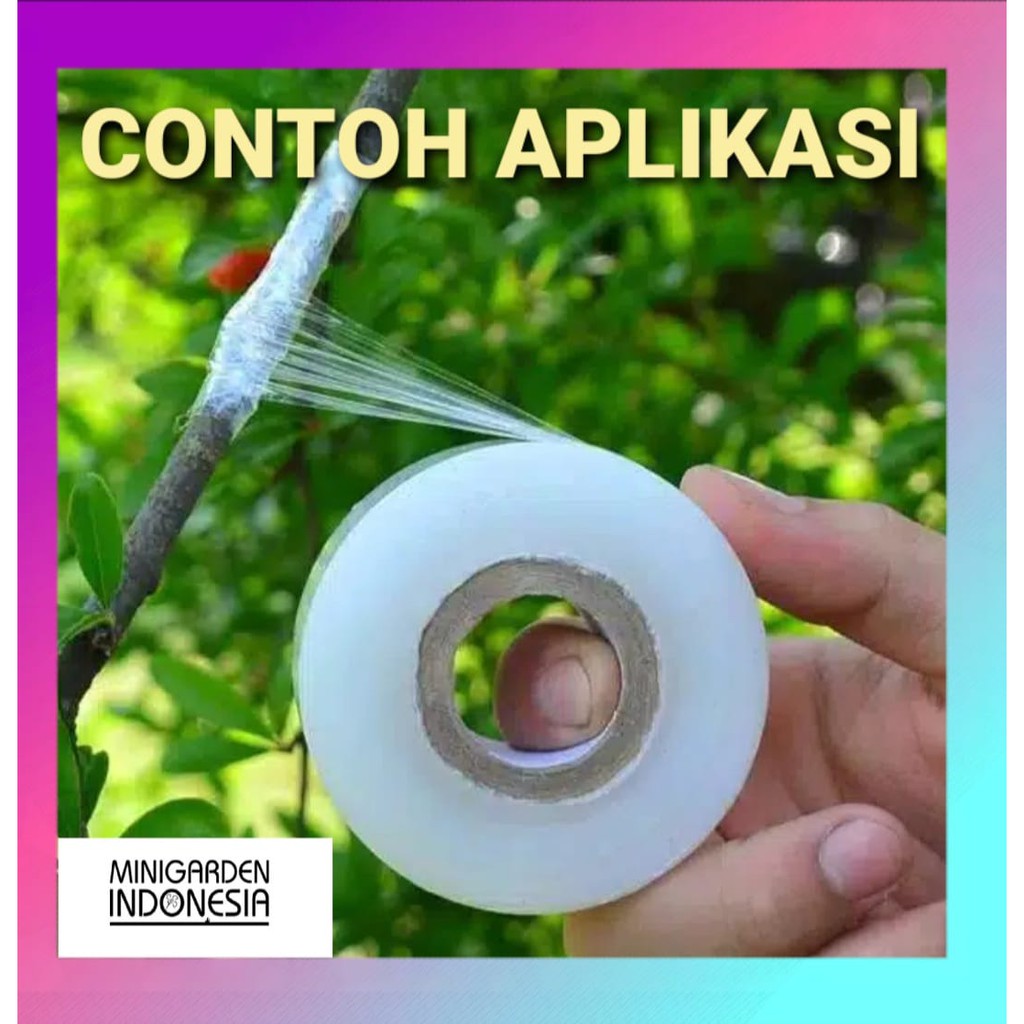 PAKET GRAFTING TAPE + PISAU OKULASI lokal sambung pucuk cangkok stek plastik wrap stretch tanaman