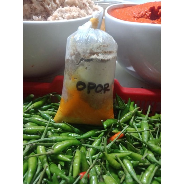 

bumbu opor