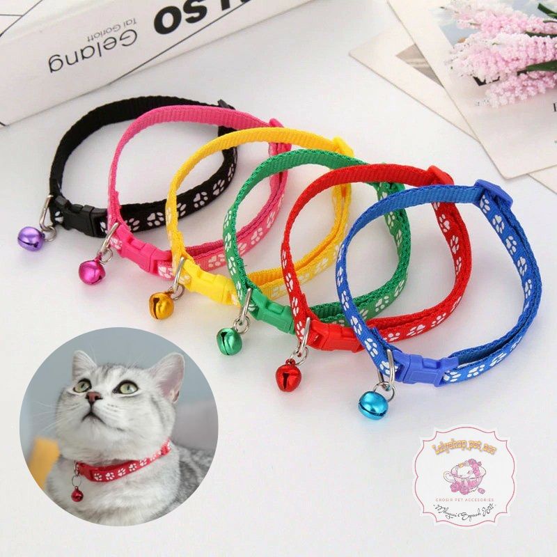 KALUNG KUCING PREMIUM GESPER WARNA