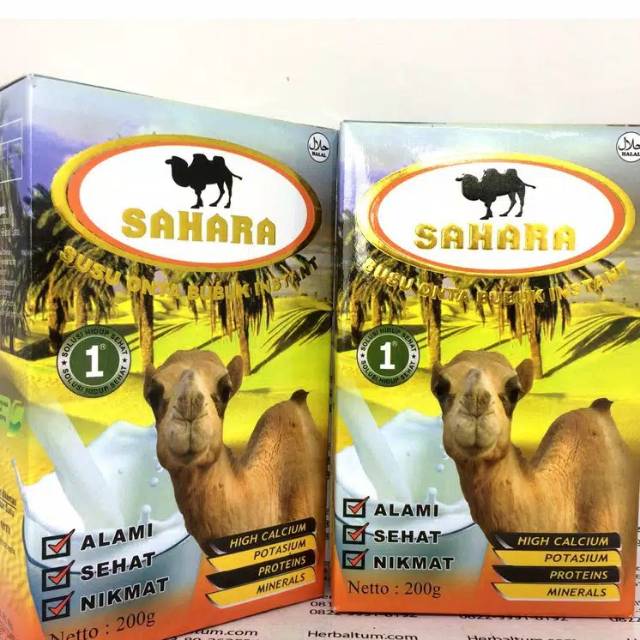 

SUSU UNTA SAHARA / SUSU ONTA SAHARA