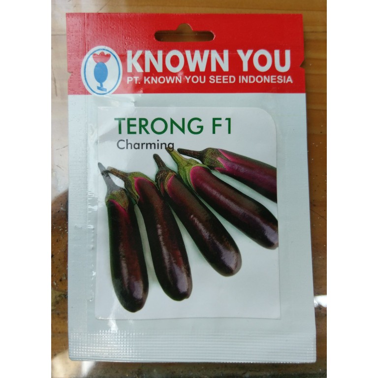 benih / bibit Terong F1 Charming (Known You Seed)