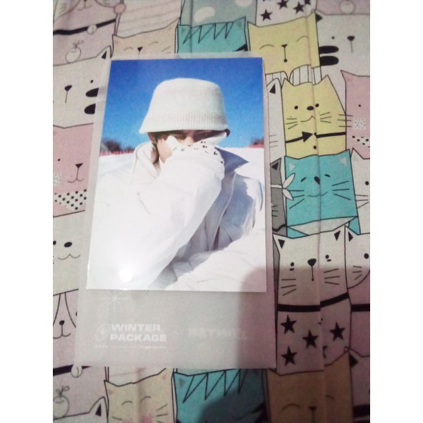 BTS WINTER PACKAGE FOTO 4X6 TAEHYUNG OFFICIAL
