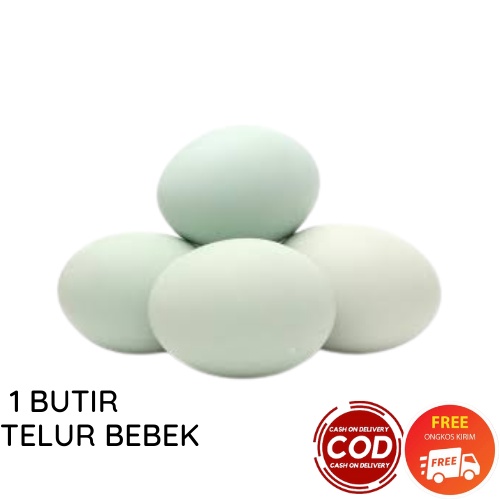 TELUR BEBEK