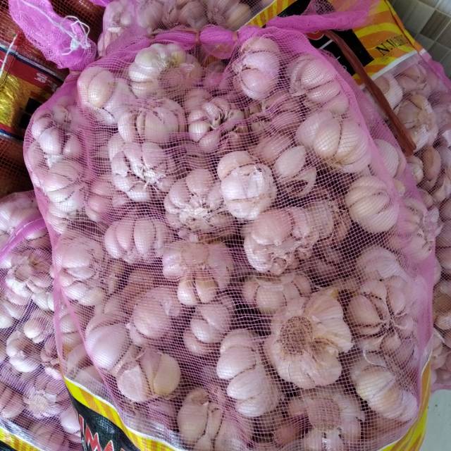 

Bawang putih sinco