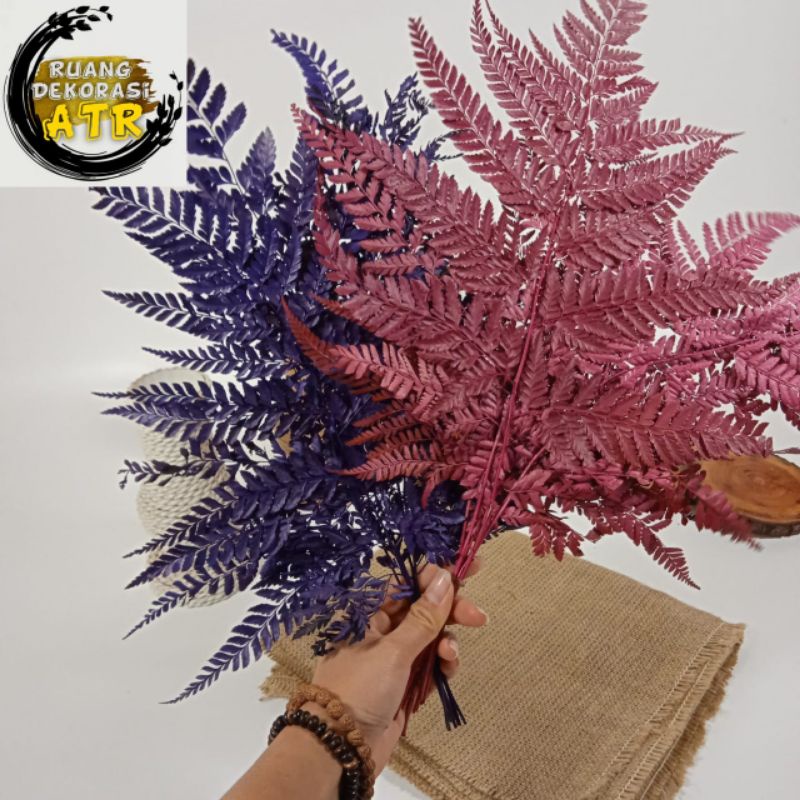 Daun Pakis Hias / Daun Pakis Warna / Daun Pakis Kering /  Bahan Dekorasi